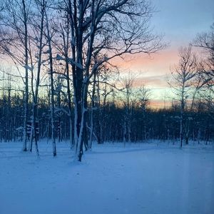 Meet your Posher, Carmela